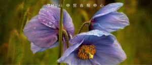 资讯/缺省