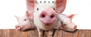 资讯/缺省