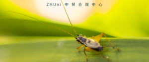 资讯/缺省