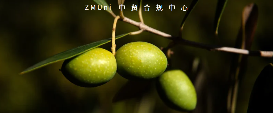 资讯/缺省