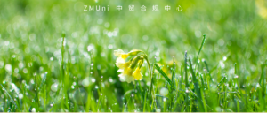 资讯/缺省