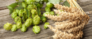 资讯/缺省