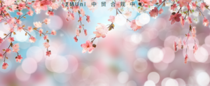 资讯/缺省