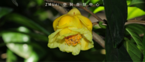 资讯/缺省