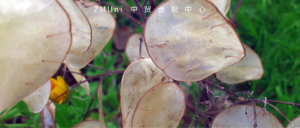 资讯/缺省