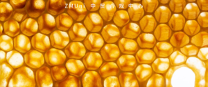 资讯/缺省