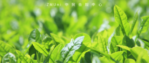资讯/缺省